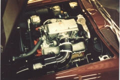 31