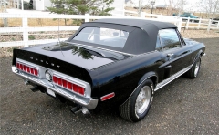 8T03J19319302116_Rear4
