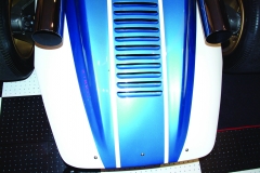 Cerv 1